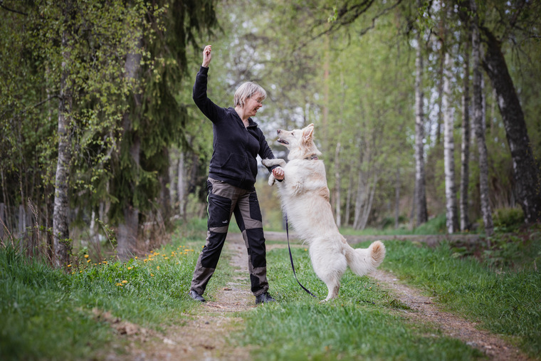 Koiratanssin Jatkokurssi