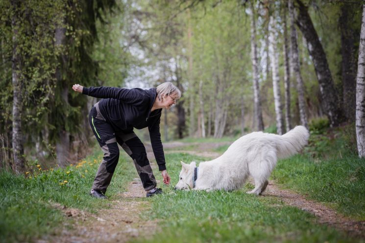 Neljän lajin tutustumiskurssi